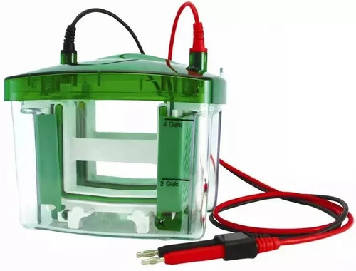 Mini Vertical Electrophoresis - Color: Multicolor