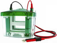 Mini Vertical Electrophoresis