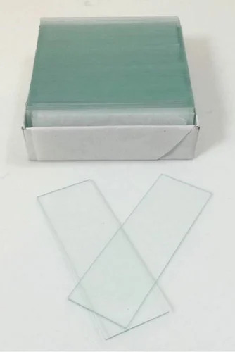 Microscopic Glass Slides