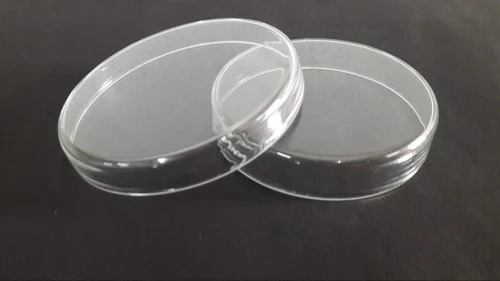 Glass Petri Dish