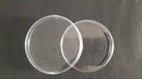 Glass Petri Dish