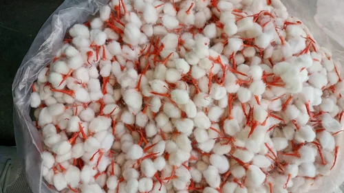 Round Cotton Wicks