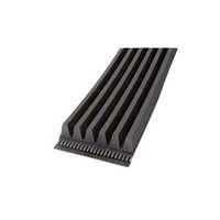Poly V Belt