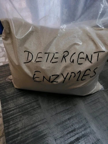01_Detergent Enzymes