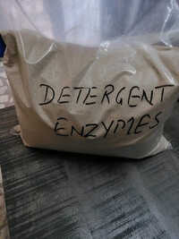 01_Detergent Enzymes