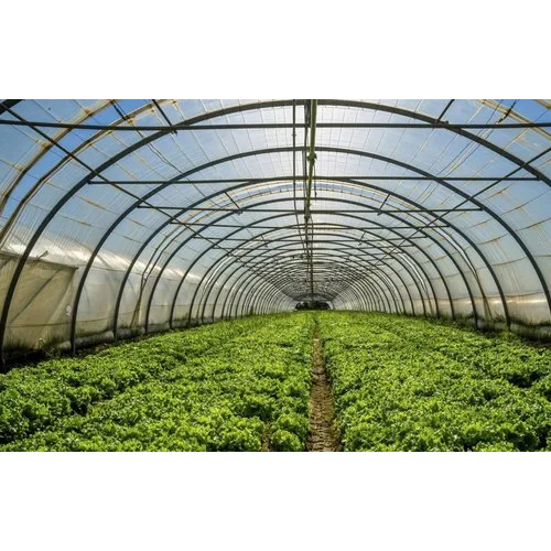 Walk In Tunnel Polyhouse - Features: Durable