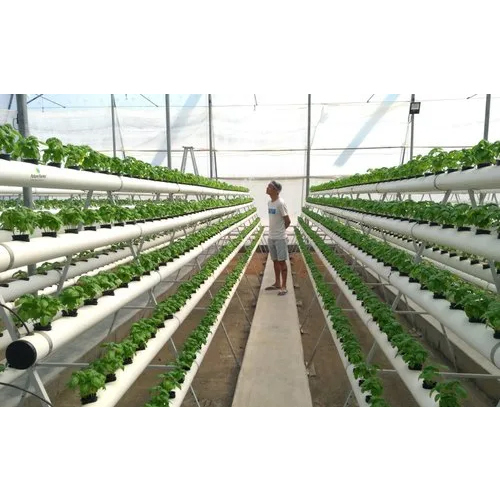 Modular Hydroponic Polyhouse - Features: Eco Friendly