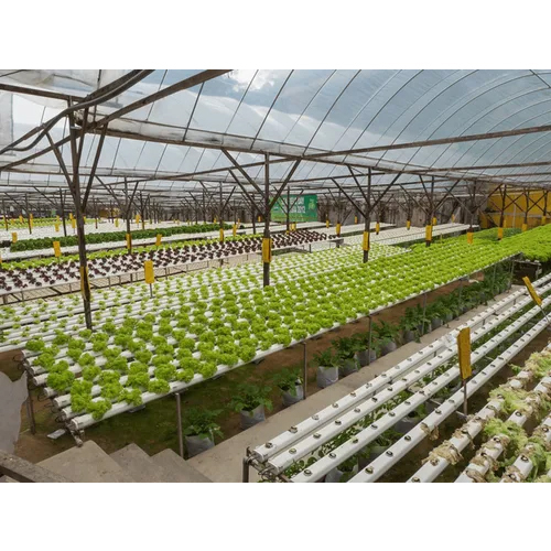 Polyhouse Hydroponic System - Features: Durable