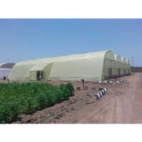 Naturally Ventilated Greenhouse - Features: Eco Friendly