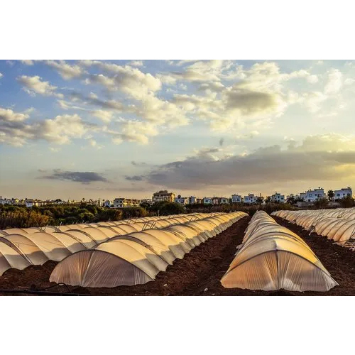 Agriculture Greenhouse Structure - Features: Durable