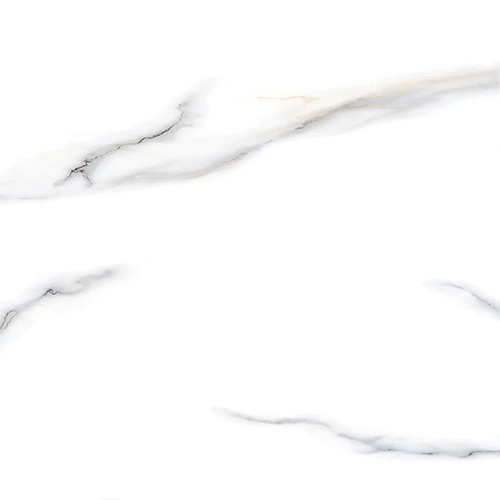 600x600 mm Digital Ceramic Floor Tiles