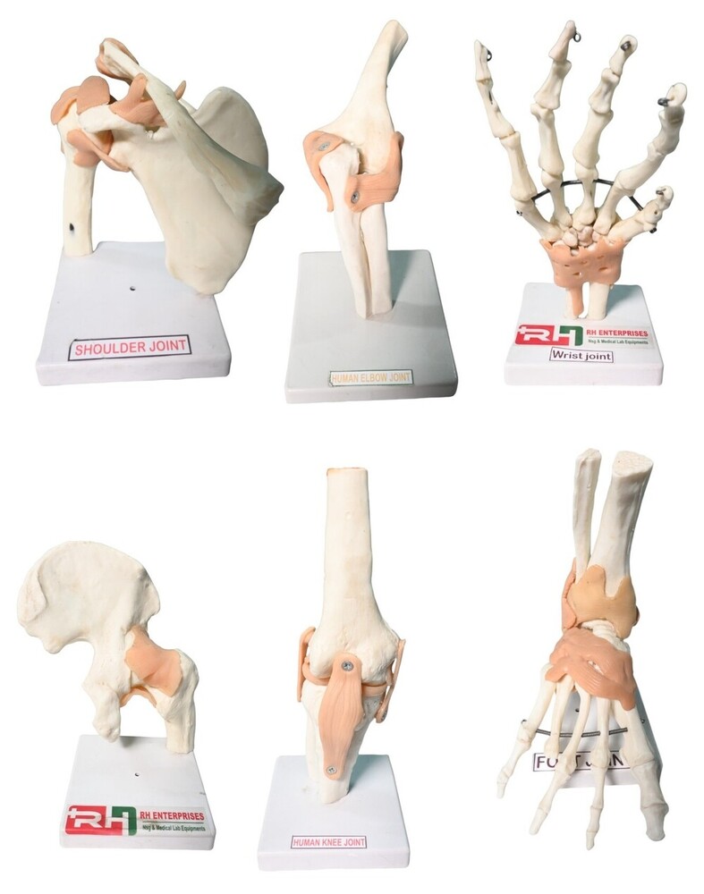 6 Joint Model - Color: White