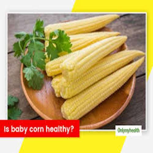 Sweet Corn - Color: Yellow