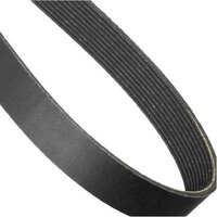 Poly Rib Belt