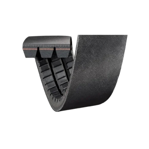 Banded Belt