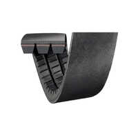 Banded Belt