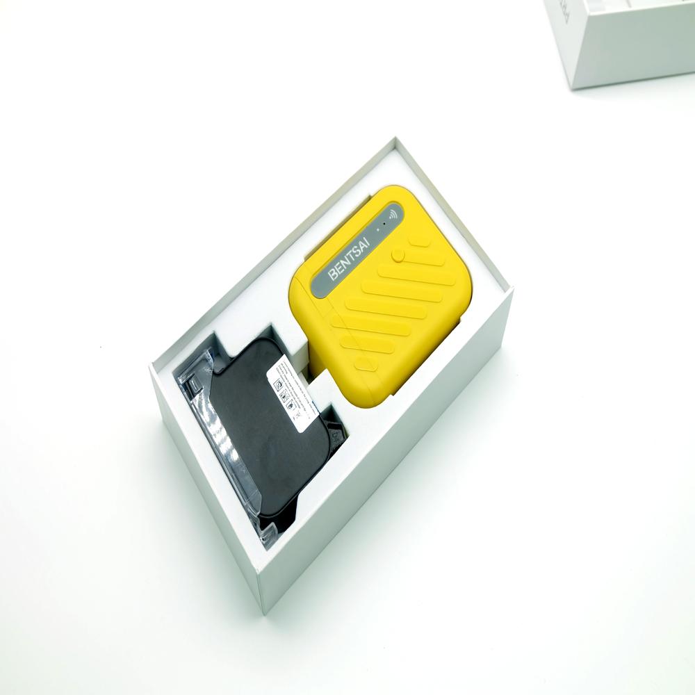 Ridhi Bentsai B10 MINI