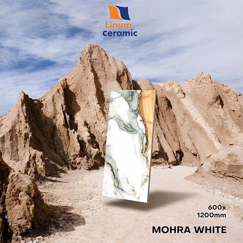 600X1200 Mm Mohra White Matt Finish Tile - Feature: Non-Slip