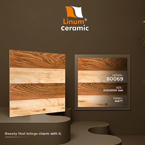 600x600 MM Matt Finish Tile