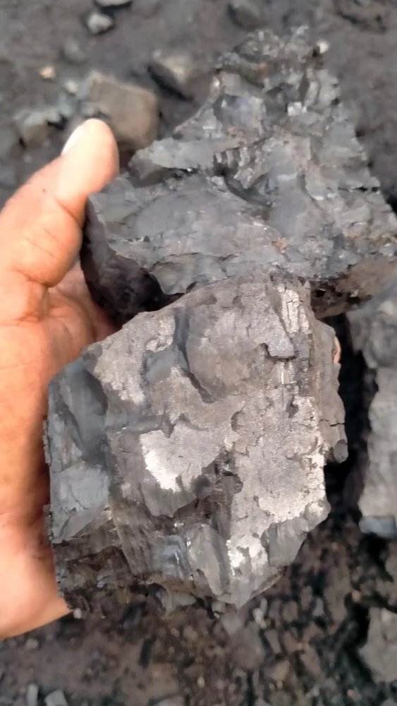 Indian Steam Coal