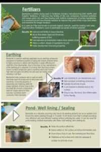 Bentonite Granules