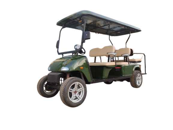 Electric Golf Cart Manufacturer - Charger Type: Smps