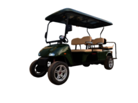 Electric Golf Cart Manufacturer - Charger Type: Smps