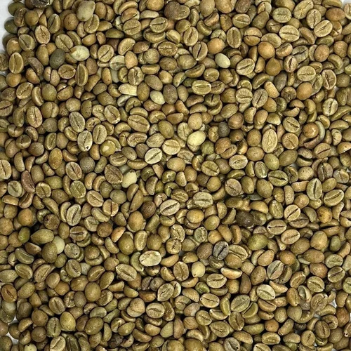 Arabica Cherry Raw Green Coffee Bean - Cultivation Type: Organic
