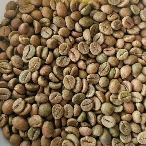 Robusta Cherry Raw Green Coffee Bean - Cultivation Type: Organic