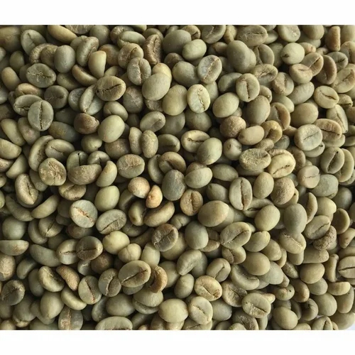 Robusta Parchment Raw Green Coffee Bean - Cultivation Type: Organic