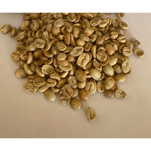 Robusta Coffee Bean - Cultivation Type: Organic