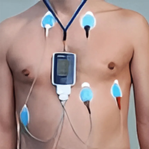 Dynamic Ecg Holter Machine - Material: Plastic