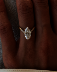 SET  Grande Moval Adorned Eve Ring & Band
