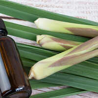 Citronella Oil