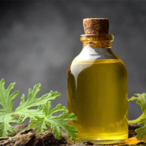 Davana Oil - Odour: Fresh