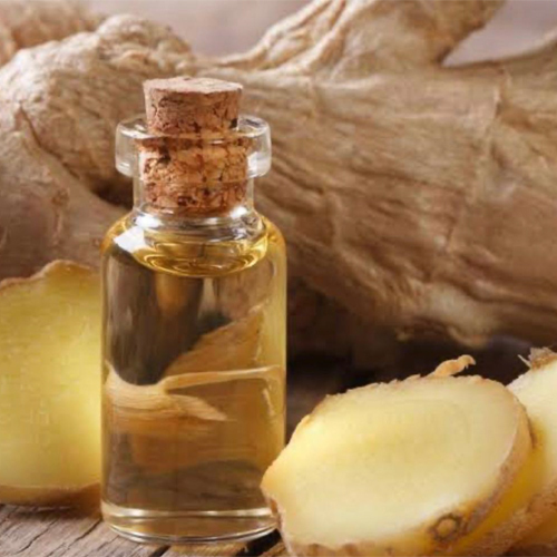 Ginger Oil - Age Group: All Age Group