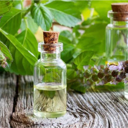 Holy Basil Oil - Age Group: All Age Group