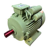 AC Induction Motor