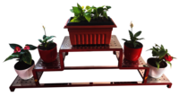 Pot Stand 5 Tier - Design Type: Steel
