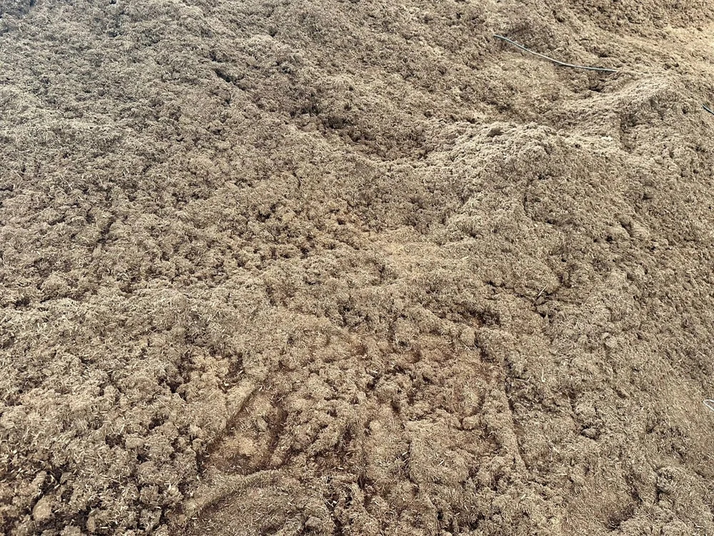 Mixed Wood Dry Boiler Sawdust Powder - Density: 156 Kilogram Per Cubic Meter (Kg/M3)