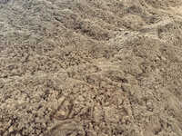 Mixed Wood Dry Boiler Sawdust Powder