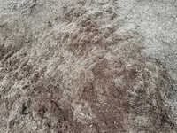Mixed Wood Dry Boiler Sawdust Powder
