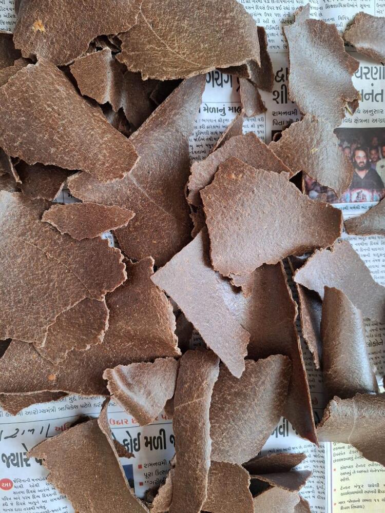 Groundnut Protein Cake - Color: Brown