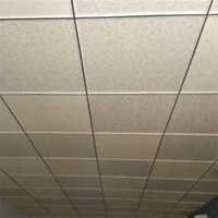 Gypsum Board False Ceiling