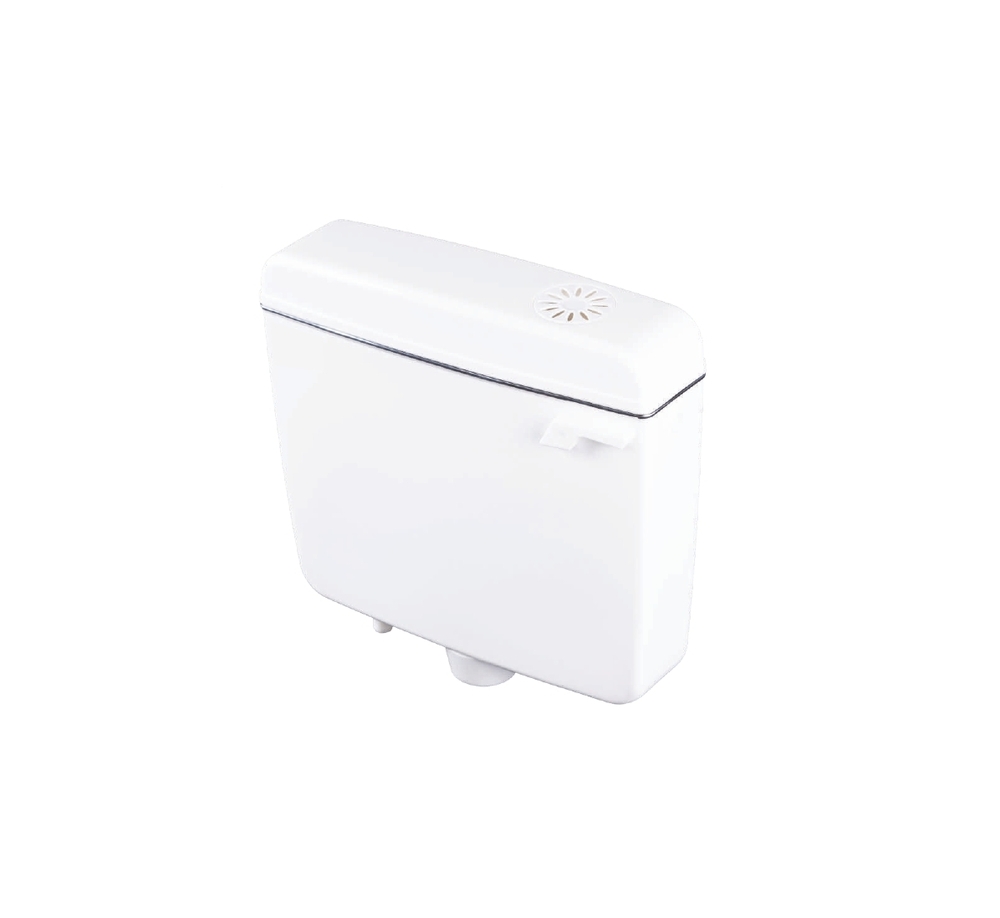 Sanitary flush cistern