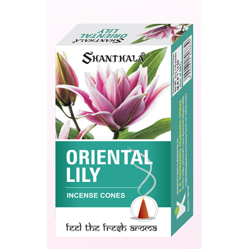 Shanthala Cones Range Oriental Lily - SC 02