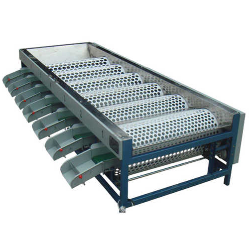 Automatic Apple Weight Sorting Machine - Feature: High Efficiency