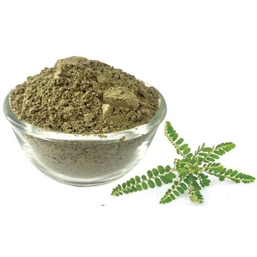 Phyallanthus Niruri Leaf Extract - Grade: Medicine Grade