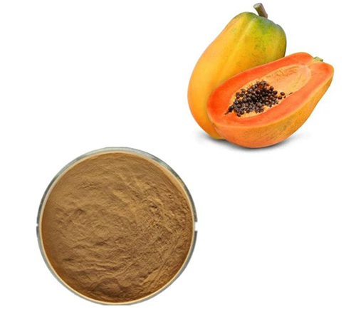 Papaya Extract
