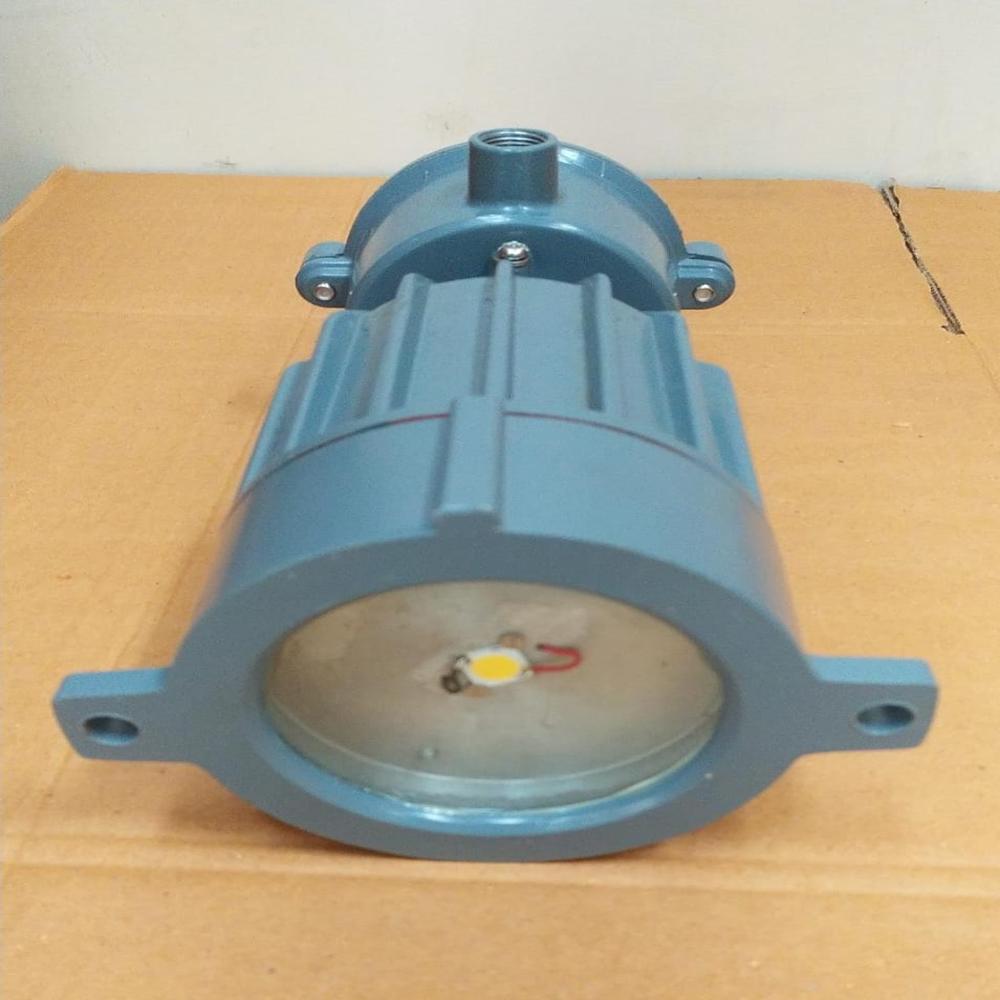 Flameproof Reactor Vessel Lamp Fitting
